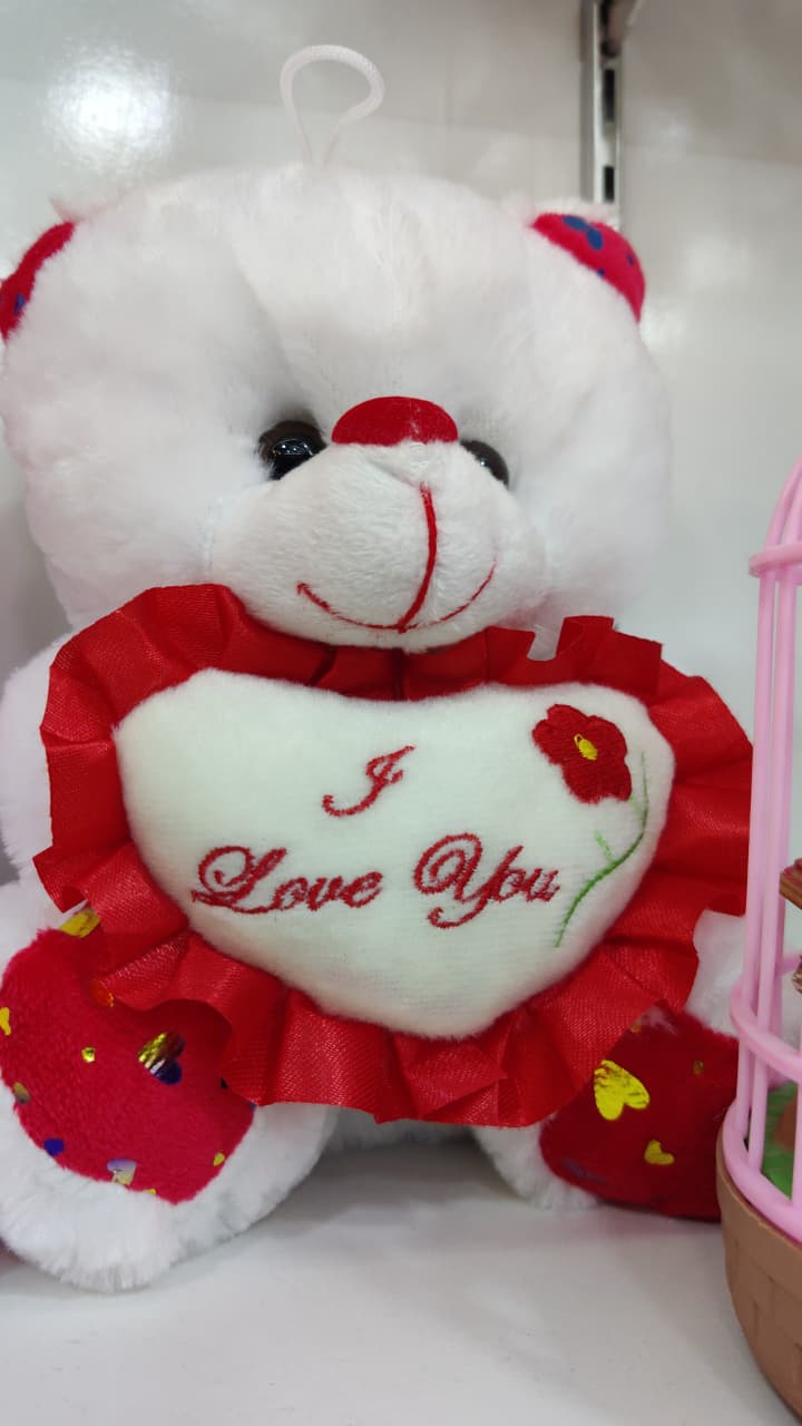 WhatsApp Image 2026-04-11 at 4.36.12 PM (1)